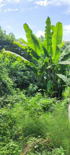 Участок 8 сот. (ИЖС)