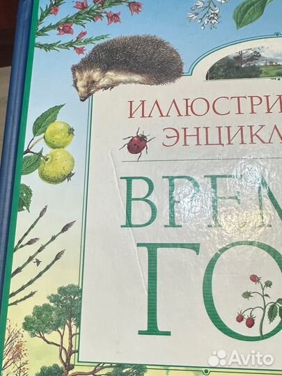 Времена года, иллюстрированная энциклопедия