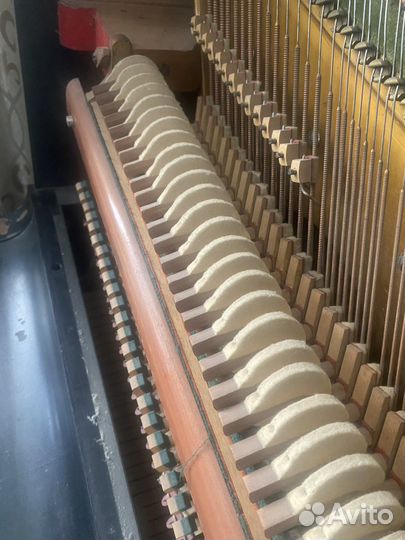 Пианино bechstein