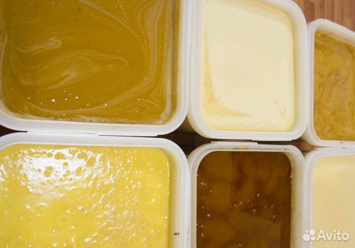 2024 Мед натуральный из Алтая опт