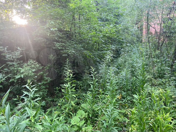 Коттедж с з/у, п. Дружный