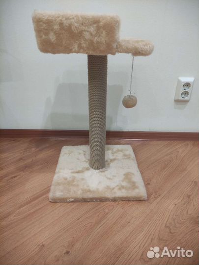 Когтеточка