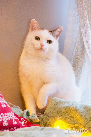 Машенька хочет стать счастливой