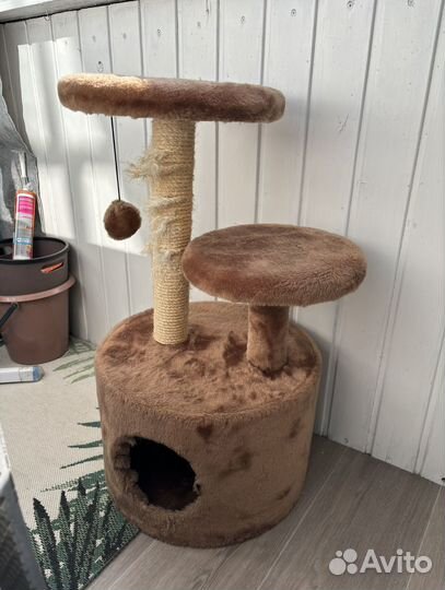 Когтеточка