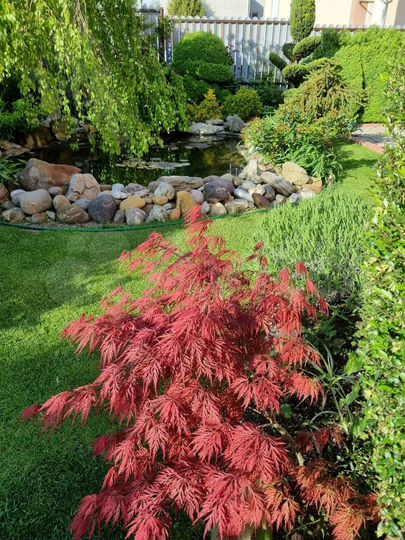 Комната 20 м² в 1-к., 2/3 эт.