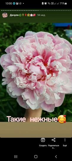 Дом 15 м² на участке 6 сот.