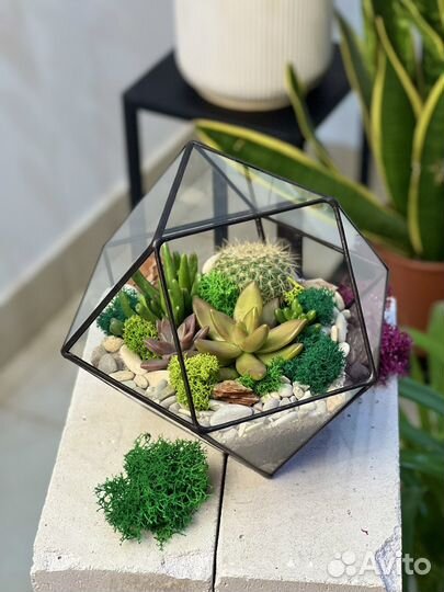 Флорариум цветы подарок