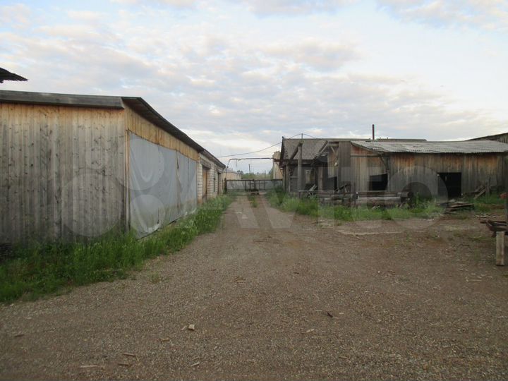 Пилорама 8398 м²