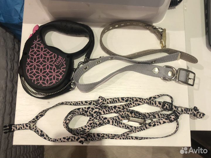 Товары для животных