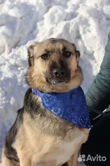 Октавия хочет домой