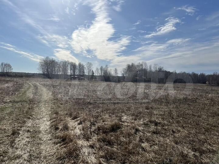 Участок 6 га (СНТ, ДНП)