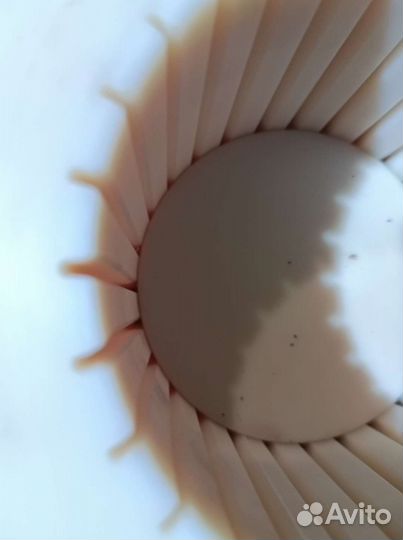 Готовый бизнес маслоцех