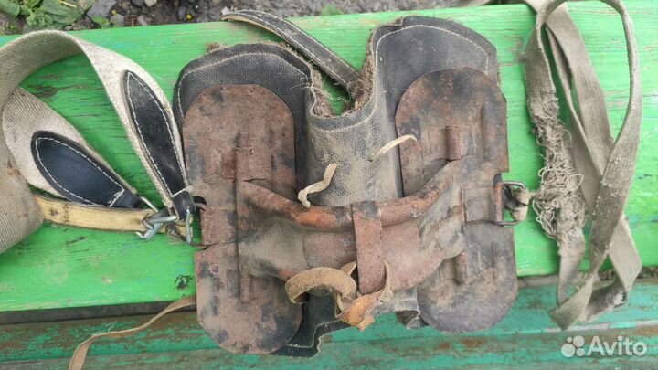 Дуга и седелка горбатая