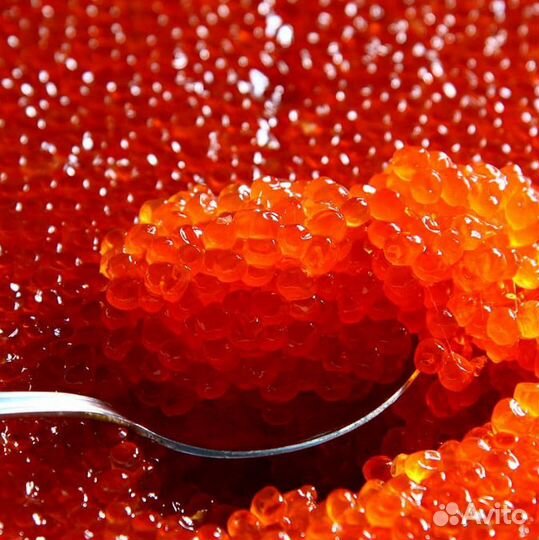 Красная икра горбуши оптом