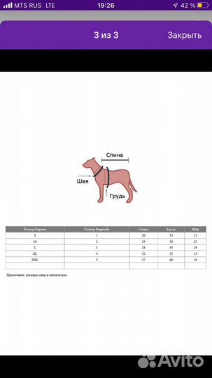 Комбинезон dogmoda Снеговик (для девочки) р-р 4