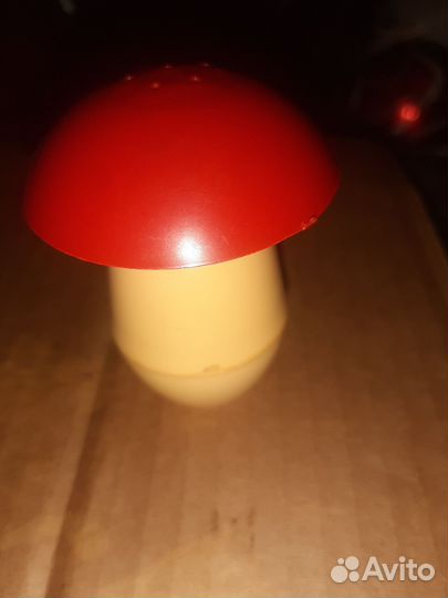 Солонка гриб