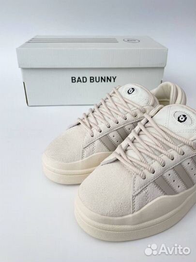 Adidas campus bad bunny