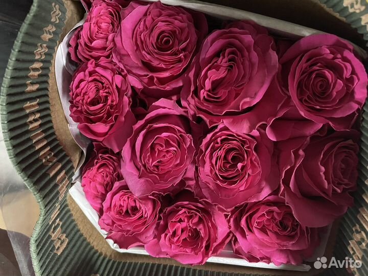 Розы от склада свежие Голландия и Эквадор