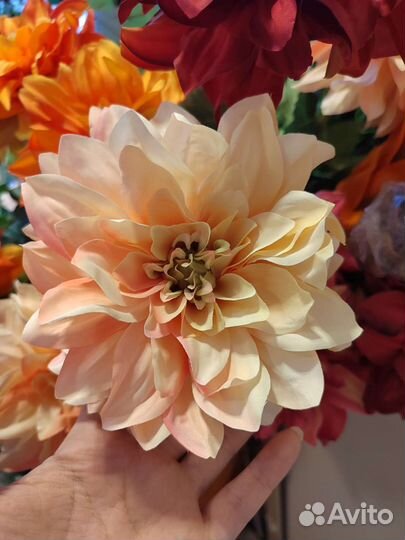 Цветы и головы цветов под заказ