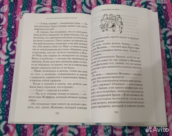 Книга все о малыше Николя