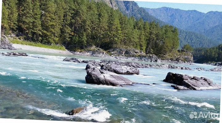 Тур Алтай лето программа до 7 дней