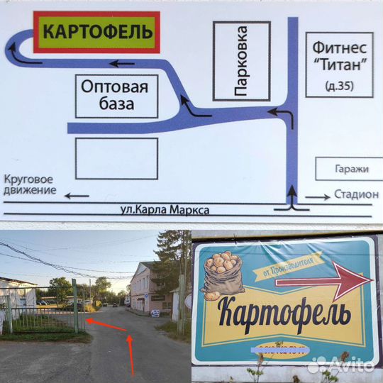 Картофель на корм