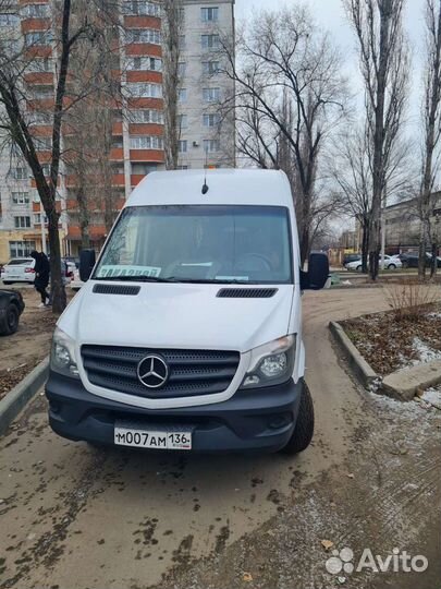 Пассажирские перевозки микроавтобус Mercedes Lux