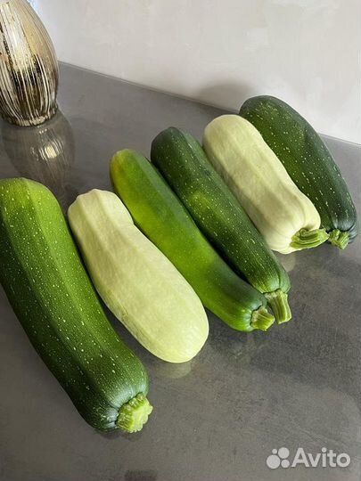 Кабачки домашние