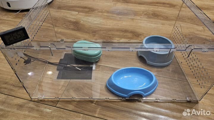 Террариум. комплект для содержания рептилии, змеи