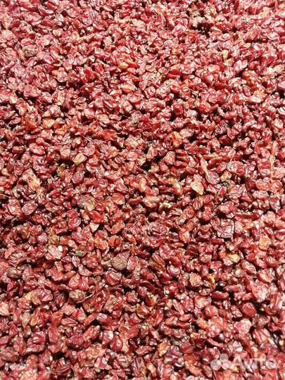 Барбарис красный