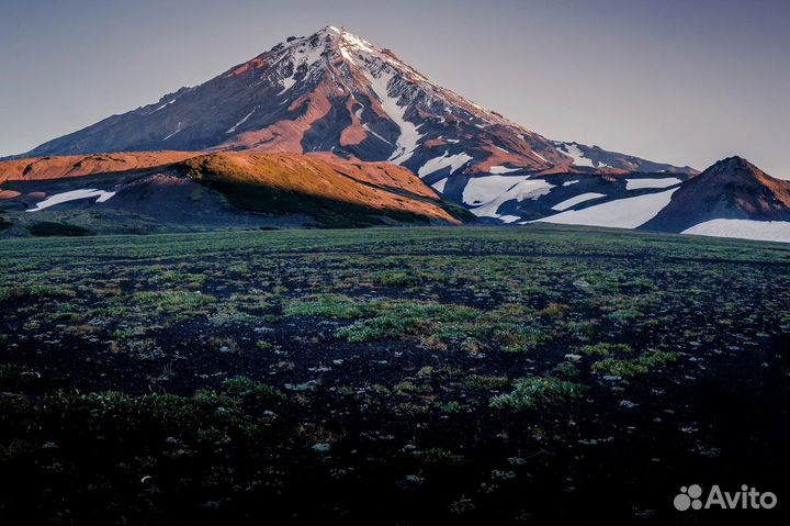 Морские прогулки Камчатка