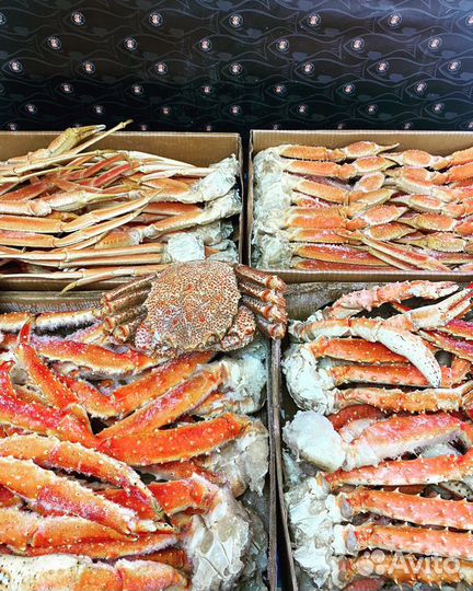 Краб камчатский,краб стригун, краб камча