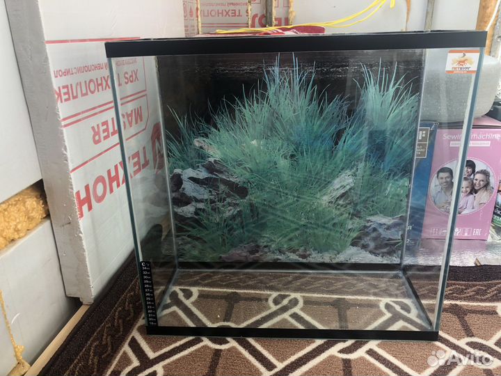 Аквариум
