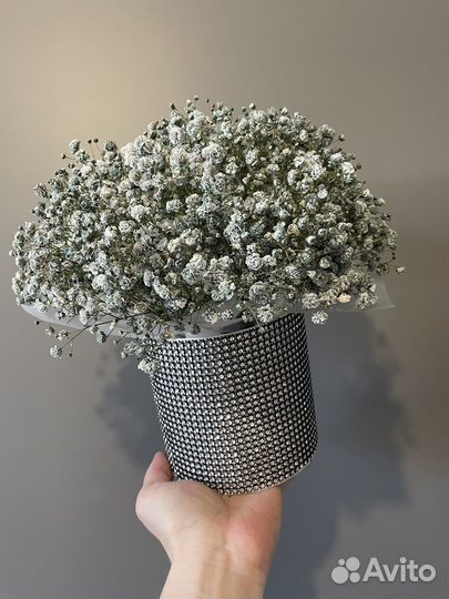 Гипсофила живые цветы подарок