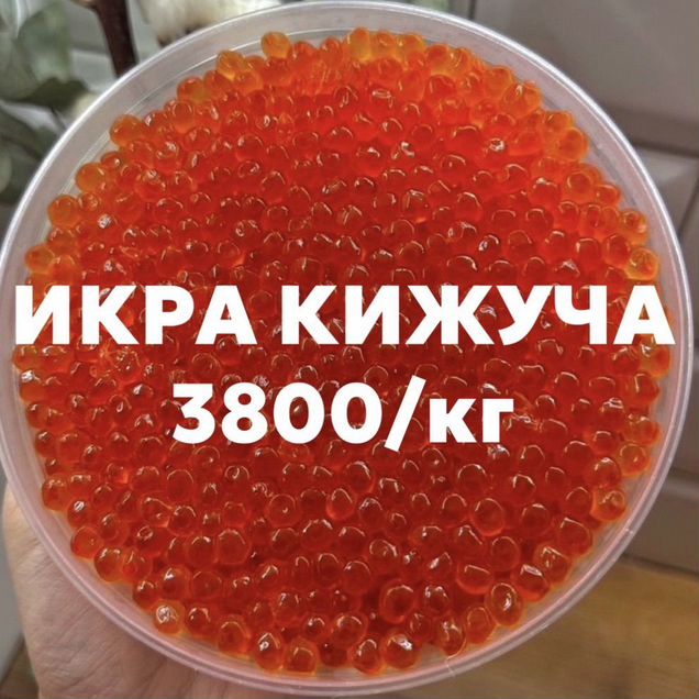Икра красная кижуча розница