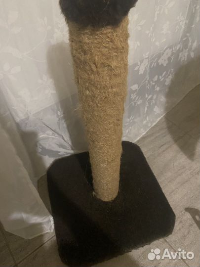 Когтеточка