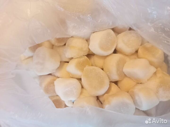 Филе морского гребешка