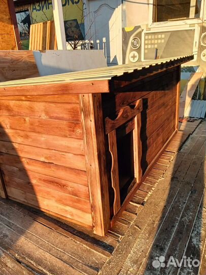 Собачья будка