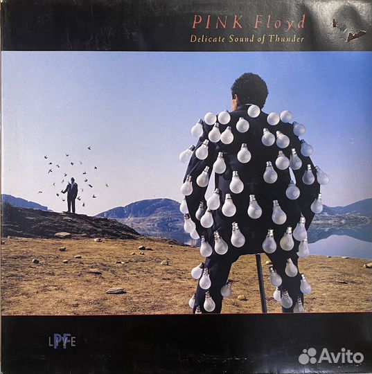 Pink floyd. Delicate sound of thunder