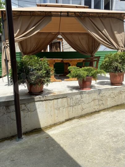 Комната 20 м² в 6-к., 1/2 эт.