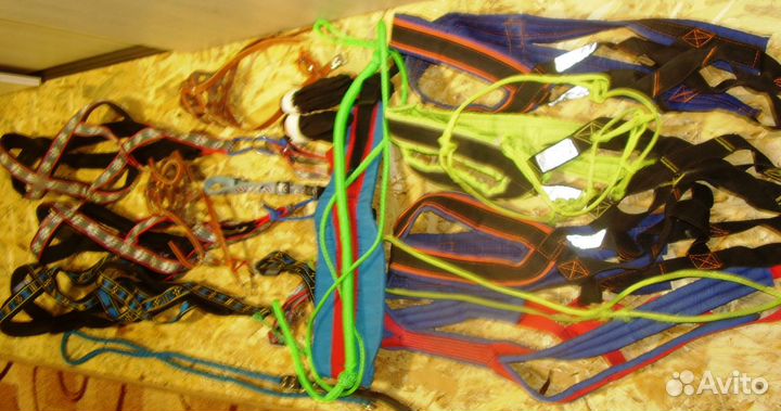 Нарты для ездового спорта