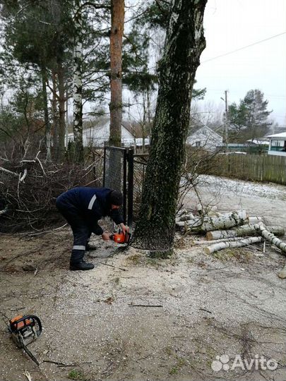 Спил деревьев сад огород
