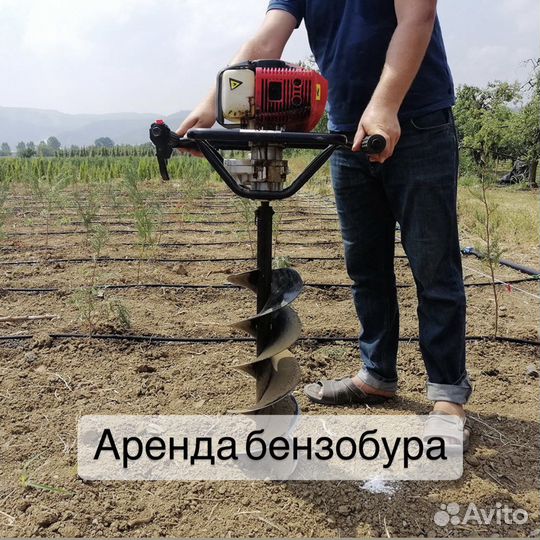 Аренда бензобура