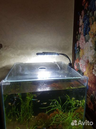 Аквариум с тумбой 50 литров