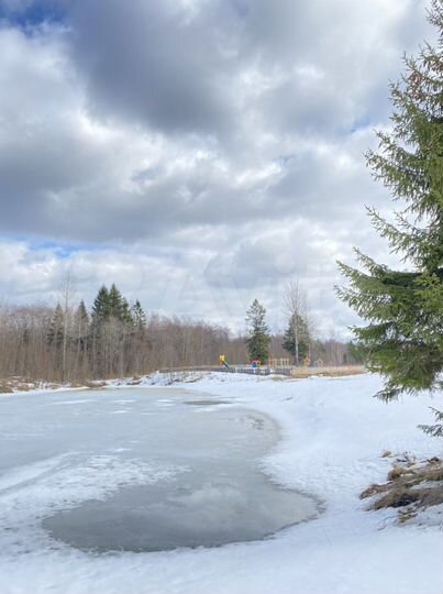 Участок 12,5 сот. (СНТ, ДНП)