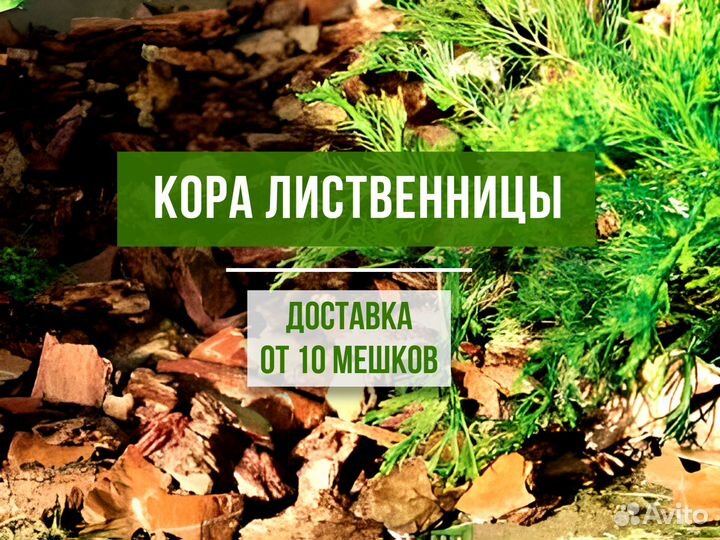 Лиственницы кора / мульча розница и опт