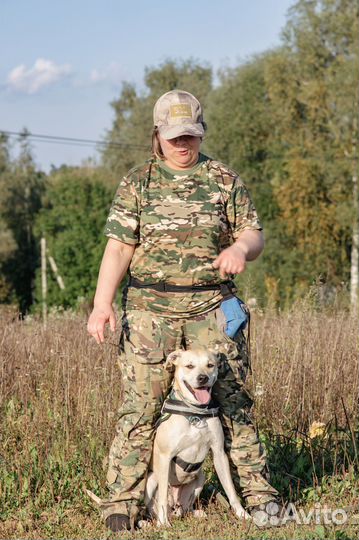 Зоогостиница для вашего питомца