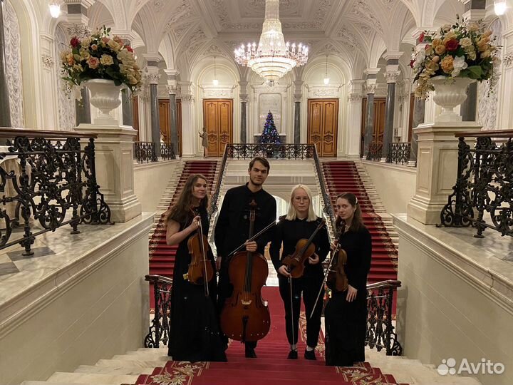 Репетитор по скрипке