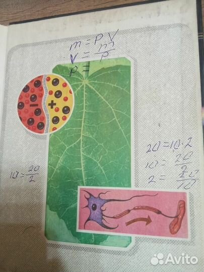 Физика в природе Л В. Тарасов