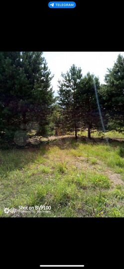 Дом 72 м² на участке 20 сот.